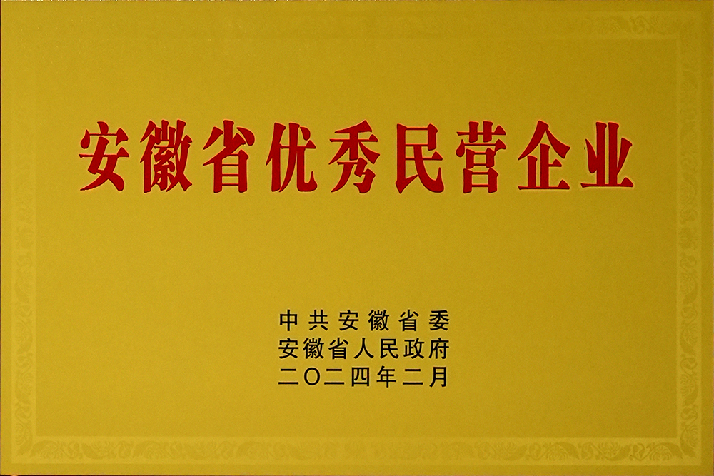 豪家股份榮獲“安徽省百名優(yōu)秀民營企業(yè)”稱號(hào)